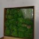 TurelinnG Preserved Moss Decor - Real Fores