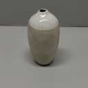 Santa Barbara Design Studio Vases for Home and Office Dcor Artisan Dipped Flower Vase, Medium, Cream