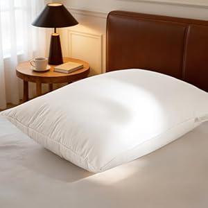 Luxury Canadian White Goose Down Pillow Queen Size- 900+ Fill Power, 600 Thread Count Cotton Shell, Soft Down Pillows for Sleeping, Hotel Collection Pillow for Neck Pain Relief (1 Pack, 20"x30")