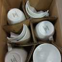 Mikasa Trellis Bone China Lightweight Chip Resistant 40 Piece Dinnerware Set, Service for 8