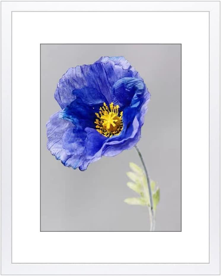 VNVNK 14x18 Frame White, Perfect for 14x18 Inch Picture without Mat or 10x14 Inch Picture with Mat, Home Wall Decor Picture Frame-1 PCS