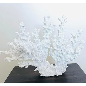Beautiful White Coral Branch Decor: Add a touch of the ocean to your home or aquarium with this stunning white coral branch. Made of high-quality