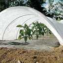 WHITE CROP COVER (M)