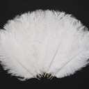 Hollosport 30PCS Bulk White Ostrich Feathers 10-12 Inches for Centerpieces Party Wedding Home Decorations Dream Catchers Vases Crafts Christmas Tree (White)