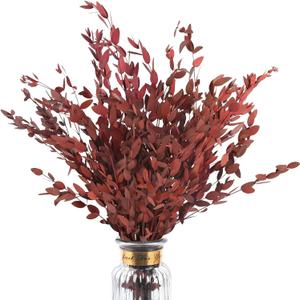 Real Red Eucalyptus Stems Decor 20PCS 17" Dried Willow Eucalyptus Plant Preserved Stems for Home Vase Filler Wedding Flowers Fall Arrangement Decorations