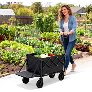 Small Collapsible Wagon with Extended Tailgate, Wagons Carts Folding with 300lbs Capacity, Lightweight Portable Utility Wagon Cart for Shopping Camping Sports Garden(Black)