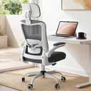 Ergonomic Office Chair for Long Hours, Adjustable Padded Lumbar Support for Lower Back Relief, 330 lb Capacity, Comfortable Computer Desk Chair for Home Office, Work & Study