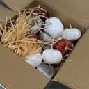 18 PCS Velvet Pumpkins for Fall Table Decor, Artificial Pumpkins, Faux Fake Pumpkin Home Decorations for Autumn Harvest, Thanksgiving, Wedding, Halloween, Table Centerpieces (Multi-Color Velvet)