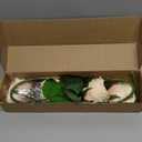 YalzoneMet 3.5'' Big Bloom Champagne Rose Artificial Flowers 4Pcs Real Touch Rose Faux 17.7Inch Long Stem Austen Roses Peonies Fake Flowers for Boho Home Kitchen Party Spring Flower Wedding Decor
