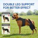 Dog Knee Brace for Torn ACL Hind Legs with Vest, Adjustable Dog Leg Brace with 4 Stabilizers, Hip Support to Reduce Pain, CCL Tear Recovery & Arthritis Ligament Injuries & Luxating Patella (X-Small)