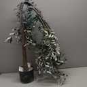 Bellacat Faux Olive Tree 7ftOlive Trees Artificial Indoor with Natural Wood Trunk and Realistic Leaves and Fruits. 7 Feet(84in) Fake Olive Tree for Home House Office Dcor.