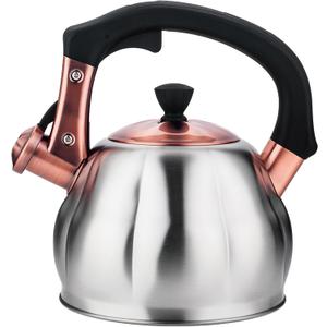 Stainless Steel Tea Kettle for Stove Top Teakettles Stovetop Whistling with Heat Proof Ergonomic Handle 2.5 Quart (Silver)