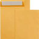 Amazon Basics Catalog Mailing Envelopes, Peel and Seal, 6x9 Inch, Brown Kraft, 250-Pack