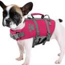 Queenmore XS Dog Life Jacket, Puppy Life Jackets for Small Dogs, Doggie Life Vest for Swimming, Lightweight Extra Small Dog Life Vest with Handle Adjustable Pet Preserver for Boating, Cat Lifevest (Fuchsia Pink)