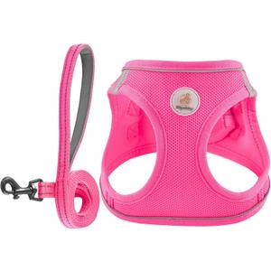 Dog Harness and Leash Set, No Pull Soft Mesh Puppy Harness for Small Medium Dogs, Cats - Step in Reflective Breathable Lightweight Vest Harness for Walking, Training - Rose Red, XS (XS(Chest: 13.5"-15"))