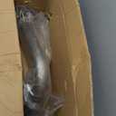 Catalytic Converter Compatible with 2012-2015 Captiva Sport, 2010-2017 Equinox, 2010-2017 Terrain 2.4L L4,16796, 644066, 679-544, 23128664, 20871342, 20910567, Manifold Catalytic Converter