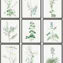 LANCHI95 botanical wall art - Minimalist Aesthetic Rose Collection, Bedroom Wall Art, Sage Green Eucalyptus Leaf Prints for Office (9pcs- 8x10in- UNFRAMED) (Botanical)