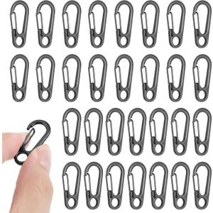 30 PCS Mini Carabiner Clip, Metal Spring Snap Hook Keychains Small Carabiner Clip for Keys, Micro Carabiners with a Transparent Storage Box Key Carabiners Clips Sport Accessories for Outdoor Camping