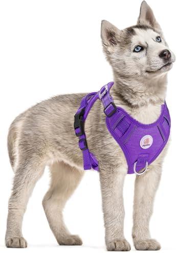 Hipubby Dog Harness Small Sized Dog, No Pull Pet Harness with 2 Metal Rings and Control Handle, Adjustable Soft Dog Vest with Reflective Strips, Easy Walking and Training for Small Dogs, Purple, S