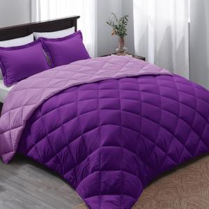 Basic Beyond Queen Comforter Set - Reversible Purple/Lilac Comforter (88"x92") and 2 Pillow Shams (20"x26"+2") for All Seasons