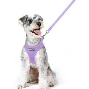 rabbitgoo Dog Harness Small Medium Sized and Leash Set, Step in Soft Light Puppy Vest, Breathable Mesh Pet Harness, Reflective for Safe Easy Walking, Light Purple XL