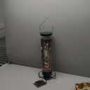 Droll Yankees Squirrel Proof Bird Feeders for Outdoors - YF-M - Flipper, Collapsible Perches, 5-Pound Seed Capacity, Green