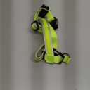 Light Up Dog Harness LED No Pull USB Rechargeable Lighted for Night Walking Adjustable Illuminated and Reflective Vest for Small Medium Large Dogs (Green, S)