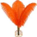 THARAHT Orange Ostrich Feathers 12pcs Large Natural Bulk 16-18Inch 40cm-45cm for Wedding Party Centerpieces Halloween and Home Decoration Feathers