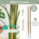 2 Pack 63'' Bendable Moss Pole Monstera Plant Support for Large Climbing Indoor Plants - Stakes for Potted Climbers - Tall Sticks Indoor Trellis for Houseplants - Accessories for Monstera Pot
