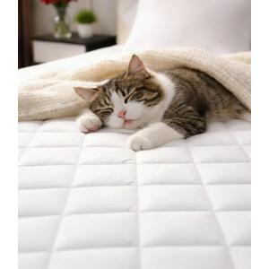 Quilted Fitted Mattress Pad Protector Queen Size - Elastic Fitted Mattress Topper & Cover - Breathable, Soft, Low Profile Top Cover with 8-16 Inch Deep Pockets - Easy-Fit & Machine Washable - White