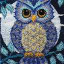 YOOTOM Latch Hook Rug Kits for Adult, DIY Latch Hook Kits Stitch Cross Crochet Carpet Mat Needlework Handmade Cushion Tapesty, Color Pattern Pre-Printed & Pre-Cut Yarns, 20x15in (Owl)