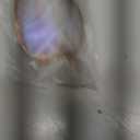 miyya Blue Light Blocking Glasses for Women, Blue Light Glasses for Women Oversized Fashion Glasses (**Tortoise)