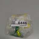 Squeaky Dog Toys - Starfish Natural Teeth Cleaning Toy for Small & Medium Dogs - Yellow