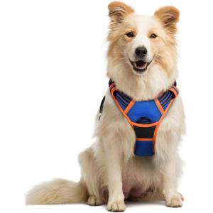 rabbitgoo Dog Harness No Pull with 2 Leash Clips, Adjustable Soft Padded, Reflective Oxford No Choke Pet Vest with Easy Control Handle for Medium Sized Dogs, Blue & Orange, M