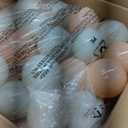 Bounceland Mini Bouncer Cotton Candy with Ball Pit, 6ft L x 6ft W x 4.6ft H inflated Size, UL Blower Included, 30 Pastel Plastic Balls, Trendy Bouncer for Kids