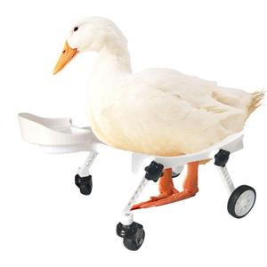 Pet Ducks Wheelchair - Adjustable Mobility Aid for Small AnimalsAdjustable Height for Comfortable Use Mobility Aid Cart with All-Terrain Wheels.