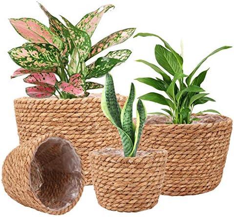 Ufrount Seagrass Planter Basket Stylish Planter Baskets for Indoor and Outdoor Plants Perfect for Flower Pots Cover and Room Decoration, Set of 3 Ufrount Seagrass Planter Basket Stylish Planter Baskets for Indoor and Outdoor Plants Perfect for Flower Pots Cover and Room Decoration, Set of 3