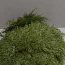 4 Pcs Christmas Greenery Placemats, 15.75Inch Large Spring Summer Round Placemats with Artificial Pine Branches Winter Place Mats Dining Table Mats for Christmas Party Decorations (Dark Green)