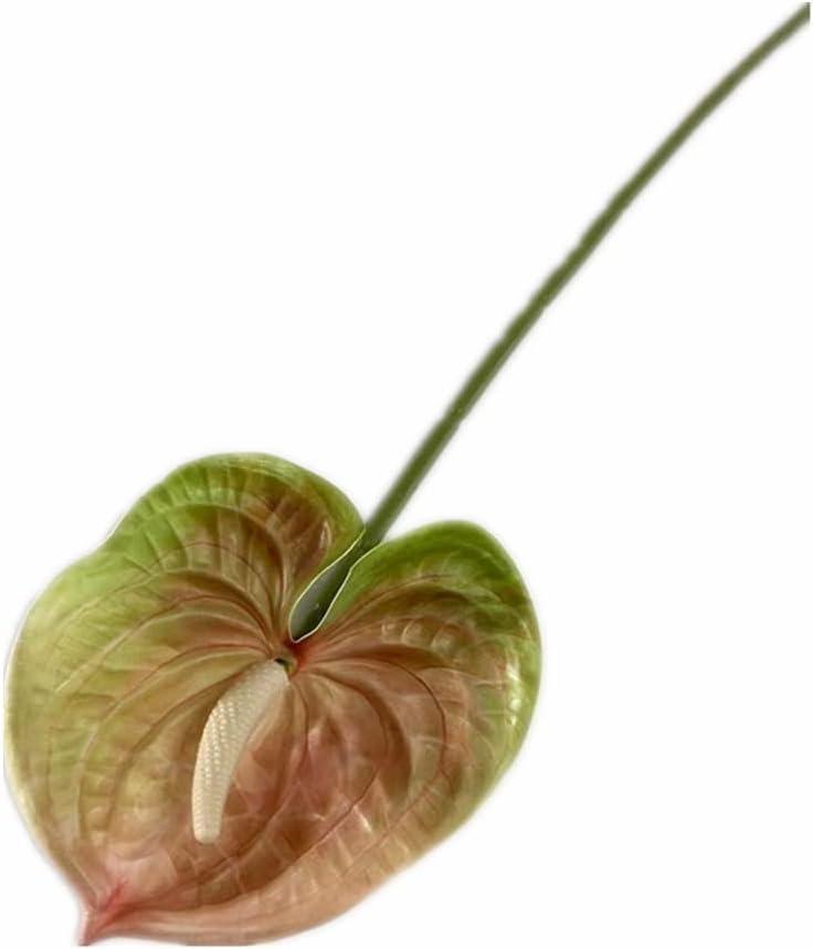 8pcs Artificial Anthurium Flower Branch 60cm 3D Printing Effect Faux Real Touch Single Stem per Piece Anthurium for Home Table Floral Decoration (chamapgne with Ligth Green)