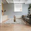 Clear Freestanding Dog Gate for Indoor Use,Pet Gates for Doorways no Drilling,Acrylic Foldable Dog Gate for Stairs with Support Feet (6 Panel - 120''W x 23''H)