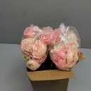 Geosar 8 Bundles Artificial Peonies Flowers Fake Silk Peony Bouquet Faux Peonies Flowers Bulk for Decoration Vase Floral Arrangements Wedding Party Table (Pink,Yellow)