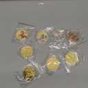 8Pcs Lucky Chinese Zodiac Coins Set - Chinese Horse Commemorative Gold Coins with Acrylic Case Lunar New Year of The Horse 2026 Decorations,Chinese New Year Gifts