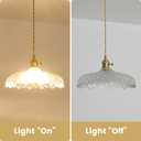 Plug in Pendant Light, 14Ft Cord Clear Glass Shade Hanging Light, Industrial Pendant Light for Dinning Room On/Off Switch Hanging Lamp Plug in, Bedroom and Kitchen Island
