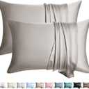 100% Silk Pillow Cases 2 Pack Queen Size Mulberry Silk Pillowcase for Hair and Skin Set of 2 Highest Grade 6A Silk Soft Breathable Cooling with Hidden Zipper, Grey