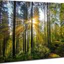 Nature Forest Landscape Wall Art Sunrise Green Tropical Trees Canvas Pictures Wall Decor 16x24" Mountain Prints Painting Modern Framed Artwork for Living Room Bedroom Kitchen Office Home Decoration