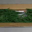 2Pcs 6 Ft Artificial Norfolk Pine Garland with 50 LED Lights,Winter Pine Christmas Garland with Lights,Real Touch Faux Greenery Garland for Mantle Fireplace,Table,Window,Outdoor Christmas Decorations