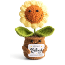 Mini Retirement Sunflower Crochet with Positive Card - Not My Problem Anymore Retired 2025 - Retirement Gift for Woman, Goodbye Gifts for Coworkers, Friend, Mom, Boss, Nurse, Teacher