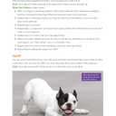 Ultimate Guide to Dog Training: Puppy Training to Advanced Techniques plus 25 Problem Behaviors Solved! (CompanionHouse Books) Manners, Housetraining, Tricks, and More, with Positive Reinforcement