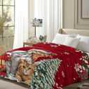 Chucoco Throw Blankets, Christmas Santa Cute Cats Luxury Ultra Soft Flannel Bed Blanket Blossoms Poinsettia Fir Tree Leaf Red Berry Cozy Warm Fleece Cover for Sofa Couch Chair 50"x60"
