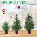 Cinnyvoice Set of 3 Pre-lit Potted Christmas Tree with led, 2 ft, 3ft,4 ft
